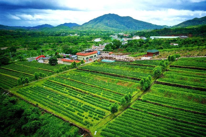 廣東海豐蓮花村1.jpg