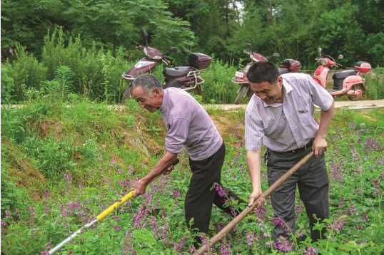 李育軍（右）在幫助農戶干農活.png