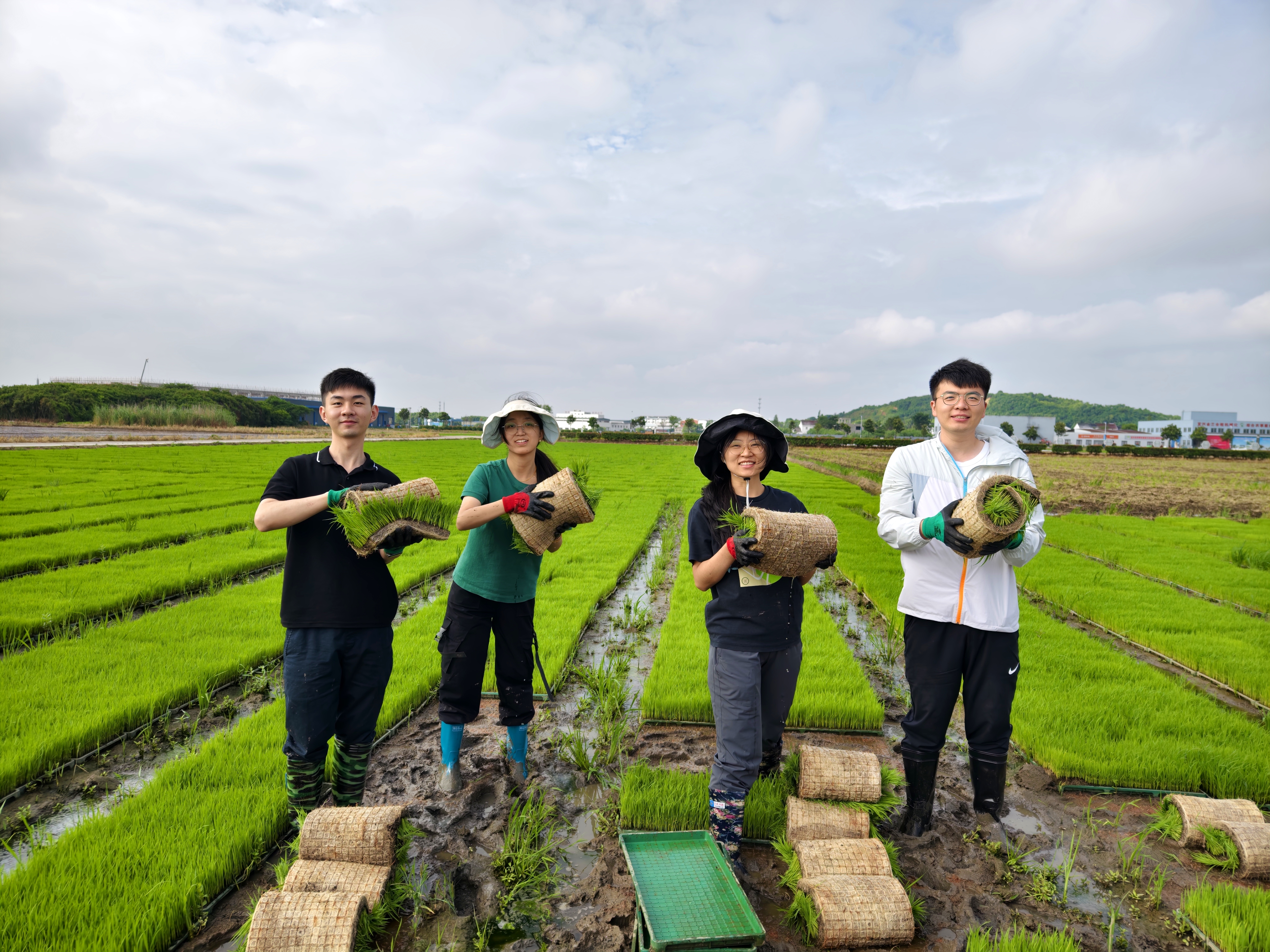 到村任職選調(diào)生在農(nóng)田搬運秧盤。（無錫市委組織部 供圖）.jpg